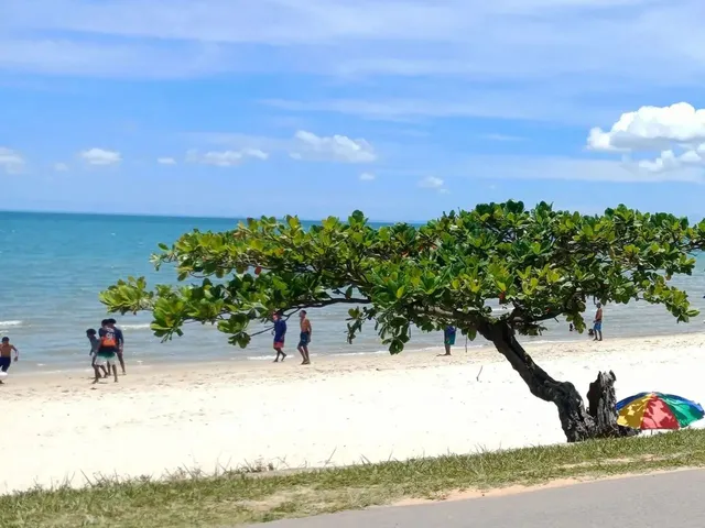 Imagem: Terreno de 60.000M2 a 300 Metros da Praia