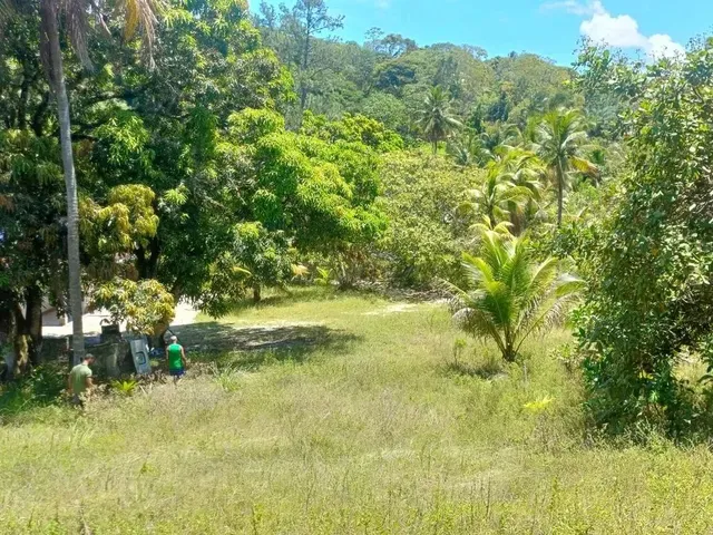 Imagem 2: Terreno de 60.000M2 a 300 Metros da Praia