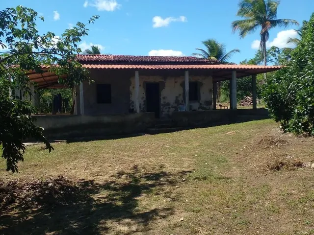 Imagem: Sítio em Cachoeira Bahia