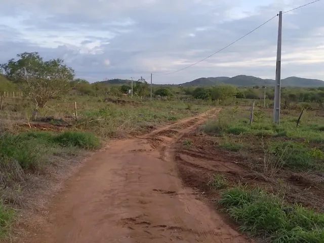 Imagem: Vende-Se 4 Tarefas de Terra