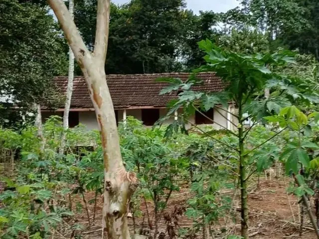 Imagem: Terreno em São José de Fruteiras Nova