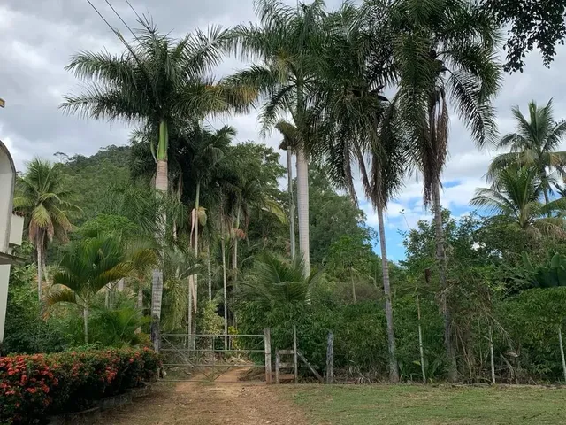 Imagem 8: Sítio em Boa Conserva Próximo a Burarama
