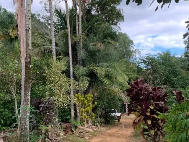 Imagem 2: Sítio em Boa Conserva Próximo a Burarama