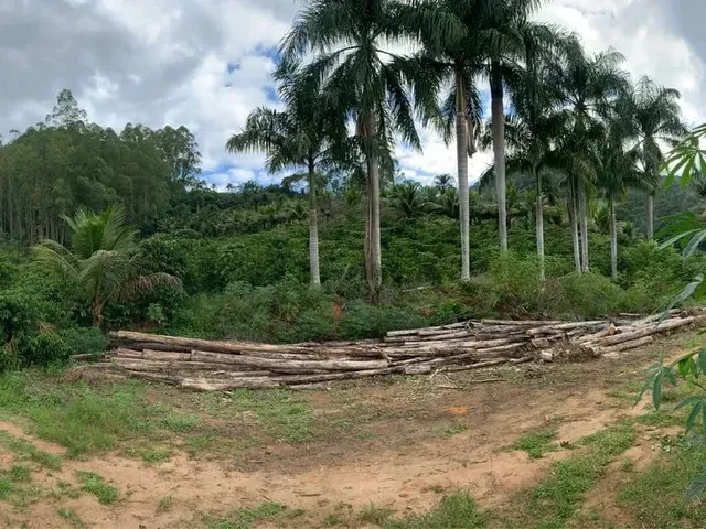 Imagem 7: Sítio em Boa Conserva Próximo a Burarama