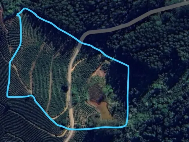 Imagem: Propriedade Rural na Comunidade da Mata