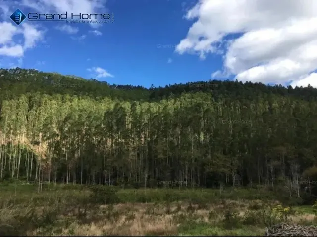 Imagem: Fazenda em Centro