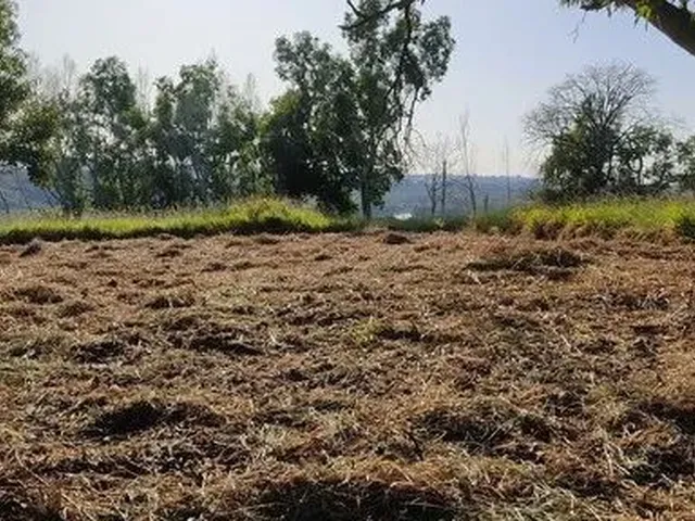 Imagem 10: Lote Cidade Jardim, Próx Iriri e Castelhanos