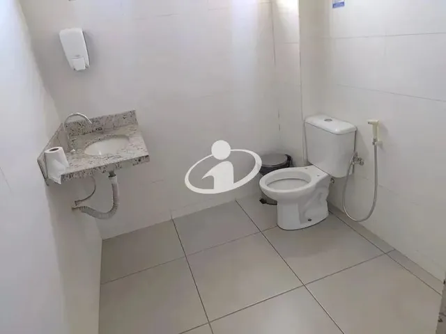 Imagem 12: Aluguel Apartamento Umuarama