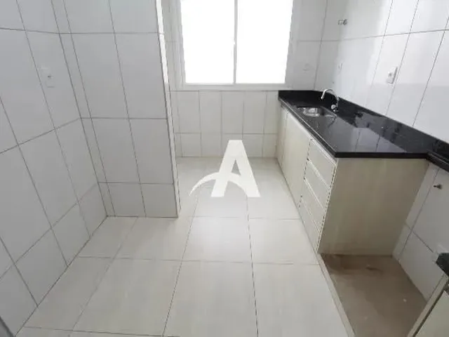 Imagem 5: Aluguel Apartamento santa Mônica
