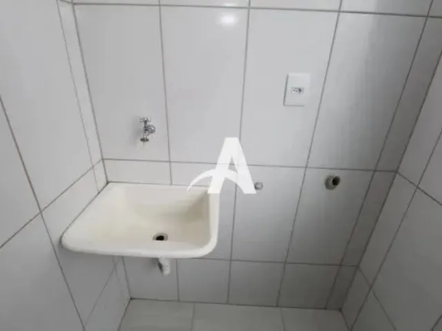 Imagem 4: Aluguel Apartamento santa Mônica