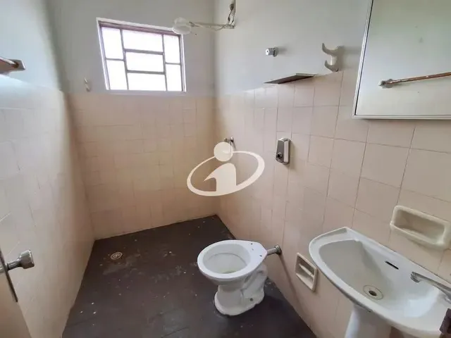 Imagem 4: Aluguel Casa Cidade Jardim