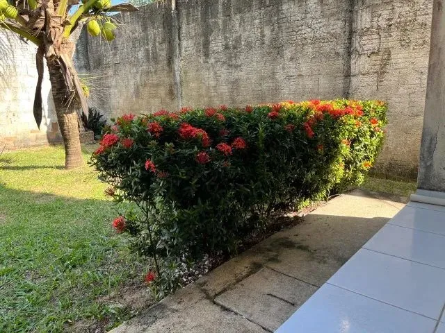 Imagem 9: Casa de 2 Quartos com Energia Solar em Extremoz