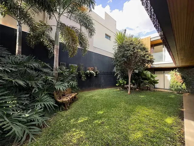Imagem 7: .