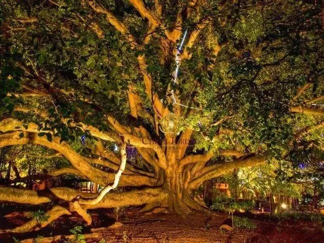 Imagem 14: Casa com 3 Quartos no Condomínio Granja Olga I - Sorocaba/Sp