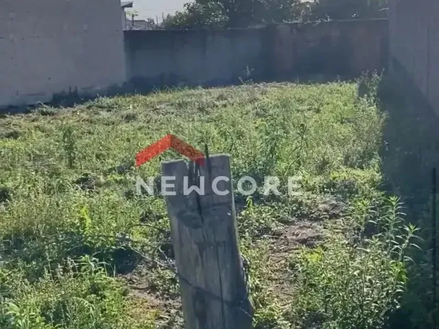 Imagem 4: Casa em Nova Brasília - Nova Brasilia - Imbituba/Sc