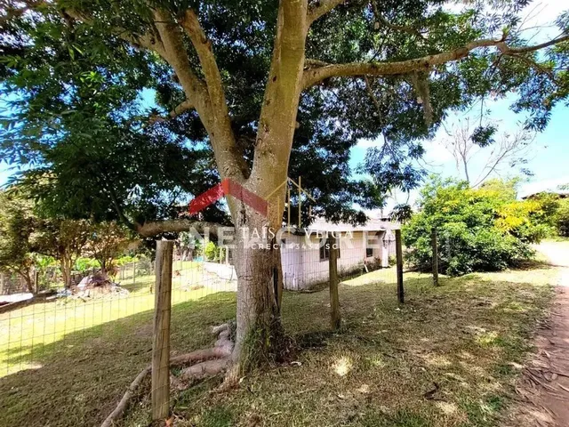 Imagem 1: Casa em Praia do Rosa - Praia do Rosa - Imbituba/Sc