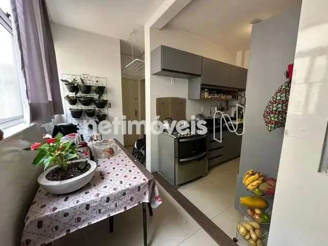 Imagem 3: Apartamento À Venda Bairro Cidade Nova