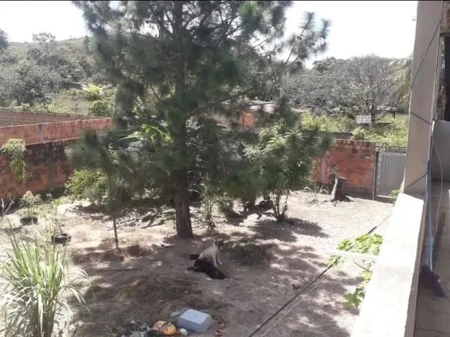 Imagem 3: Casa Grande com Terreno- Camaçari