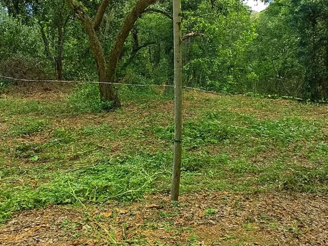 Imagem 3: ? Lote com Nascente e Lagoa - Solar de Vênus