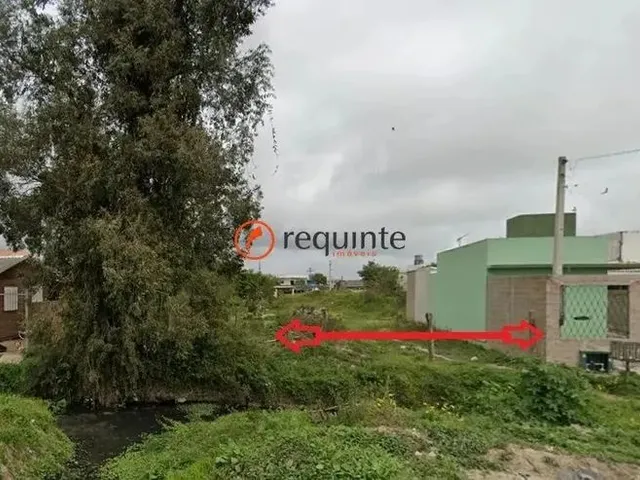 Imagem: Requinte Oferece