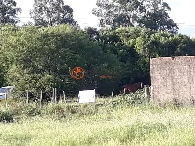 Imagem: Requinte Oferece