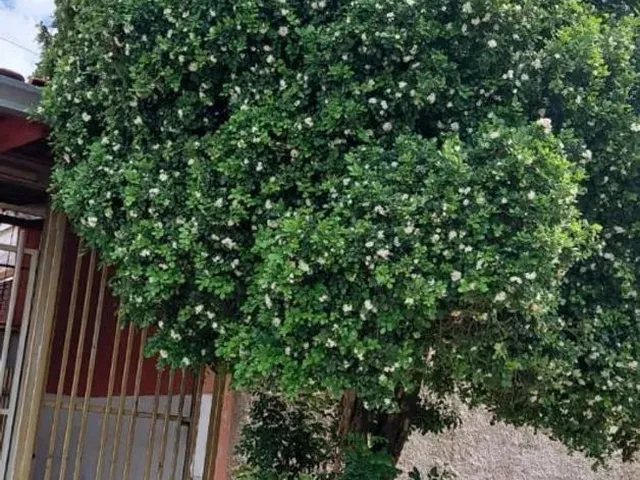 Imagem 4: Alugo Kitnete com 01 Quarto - Setor Cond. Rio Branco