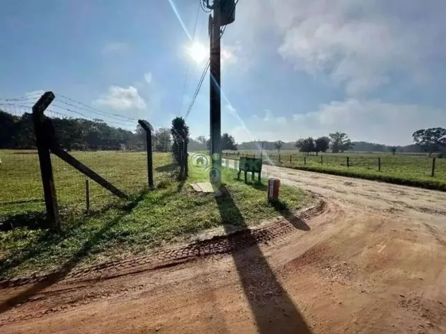 Imagem 3: Linda Casa em Área Rural com Amplo Terreno - Estada Blumenau / Vila Nova- Joiiville Sc