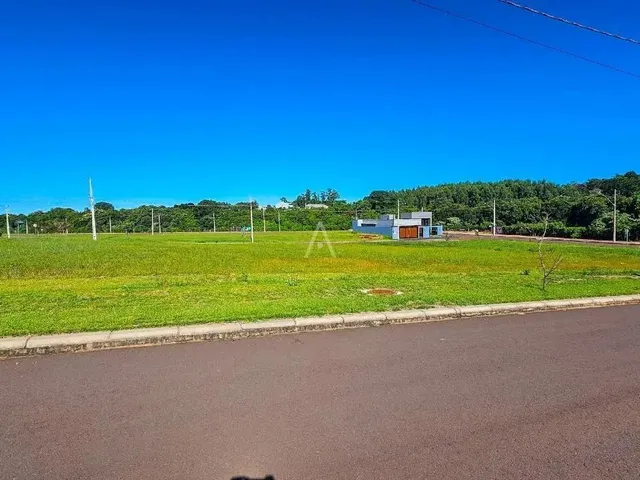 Imagem: Terreno Á Venda com 301M² no Paraiso Tropical