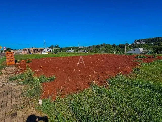 Imagem: Terreno Á Venda com 322,50M² no Paraiso