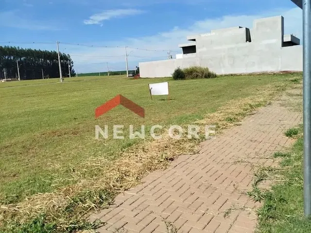 Imagem 7: Lote em Rua Goiânia - Recanto Tropical - Cascavel/Pr