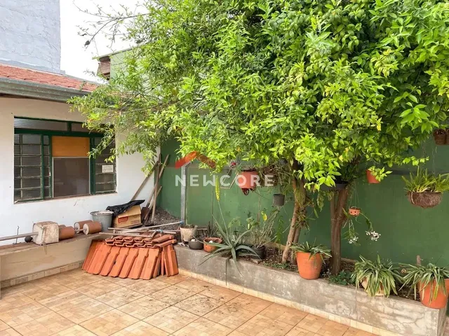 Imagem 8: Casa em Rua Sérgio de Souza Lima - Parque dos Eucaliptos - Bauru/Sp