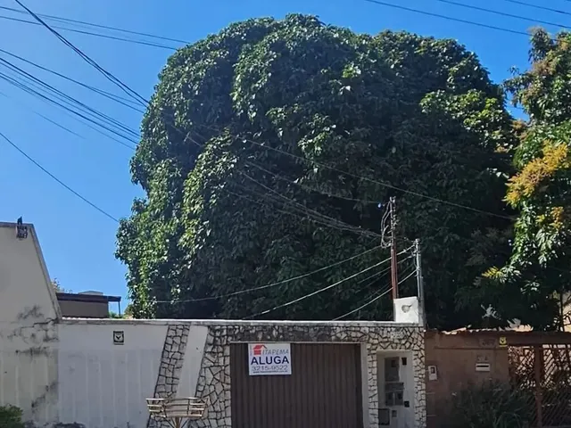 Imagem: Térrea para Aluguel Tem 140 Metros Quadrados