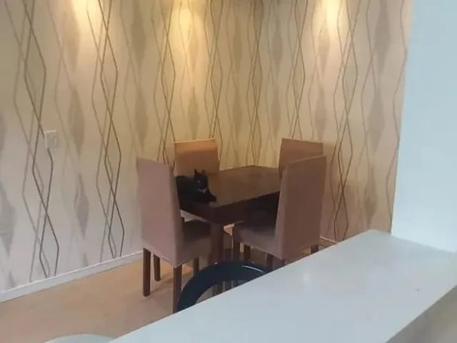 Imagem 16: Apartamento 2 Dormitórios À Venda Coronel Aparício Borges Porto Alegre/Rs