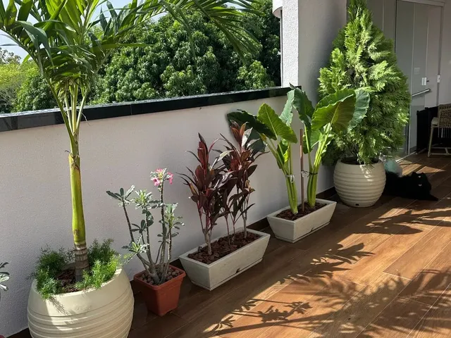 Imagem 8: Vendo Cobertura Apartamento cobertura com 3 dormitórios