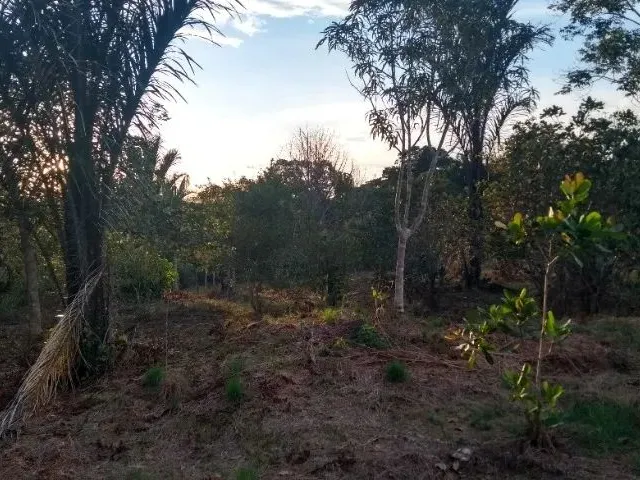 Imagem 4: Terreno na Am 240 109X3000