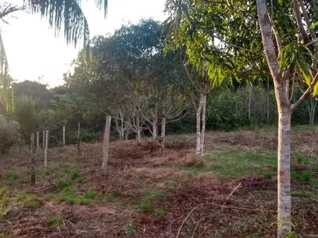 Imagem 8: Terreno na Am 240 109X3000
