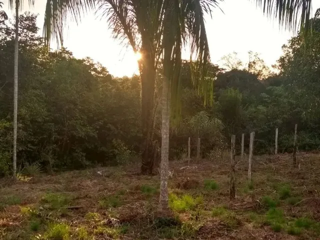Imagem 2: Terreno na Am 240 109X3000