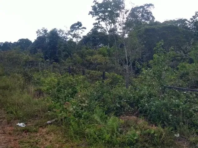 Imagem 11: Terreno na Am 240 109X3000