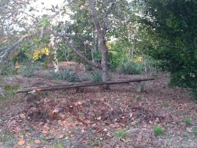 Imagem 6: Terreno na Am 240 109X3000