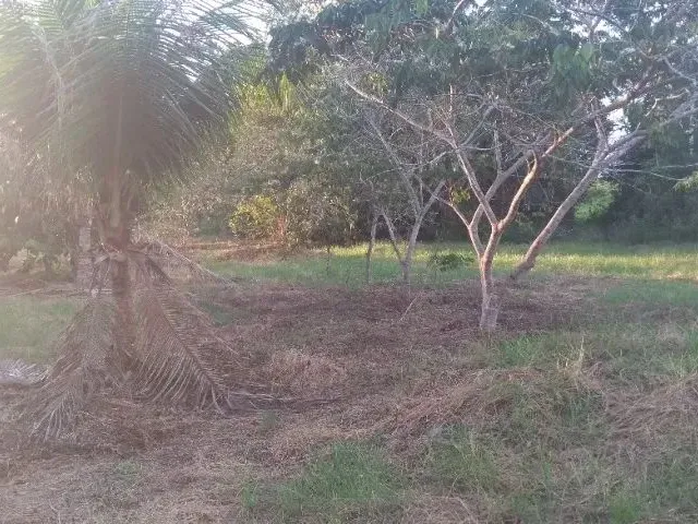 Imagem 9: Terreno na Am 240 109X3000