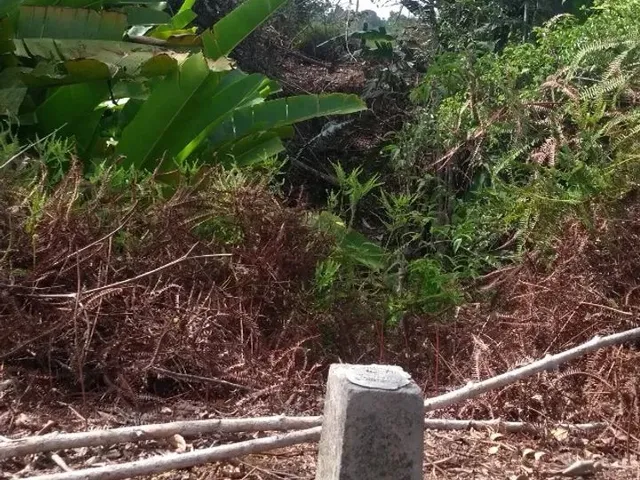Imagem 7: Terreno na Am 240 109X3000