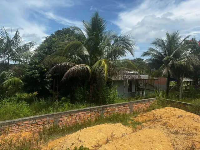 Imagem 2: Vende-Se Terreno em Rio Preto da Eva