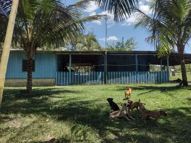 Imagem: Sítio no Rio Preto da Eva