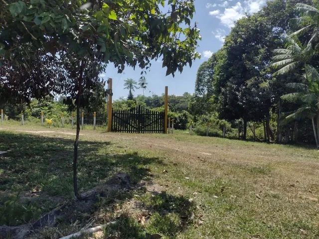 Imagem 3: Sítio no Rio Preto da Eva