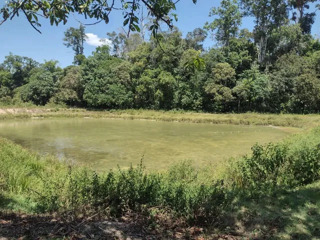 Imagem 4: Sítio no Rio Preto da Eva
