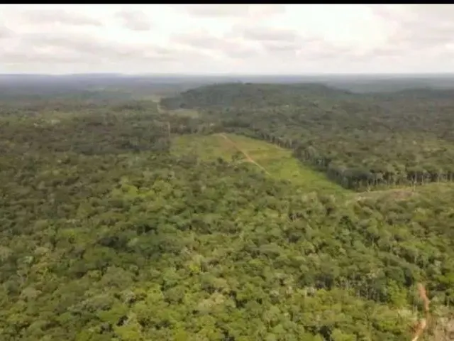 Imagem: Excelente Fazenda na Amazonas