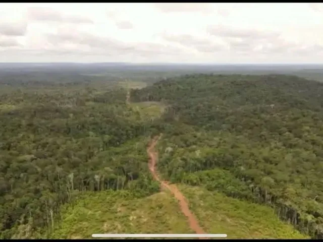 Imagem 2: Excelente Fazenda na Amazonas