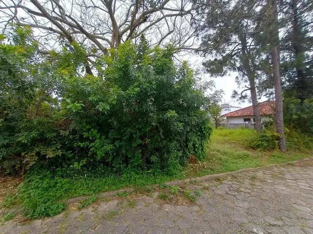 Imagem 15: Casa em Rua Deputado Waldemar Salles - Lagoa da Conceição - Florianópolis/Sc