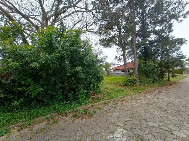 Imagem 16: Casa em Rua Deputado Waldemar Salles - Lagoa da Conceição - Florianópolis/Sc