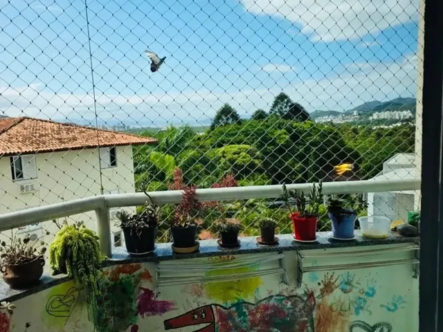 Imagem 16: Apartamento 3 Quartos no Córrego Grande